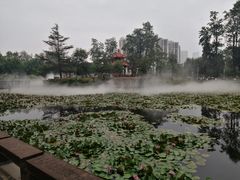 -四川大学(望江校区)