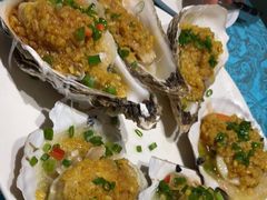 扇贝-北塘海鲜·天津菜(大光明桥旗舰店)