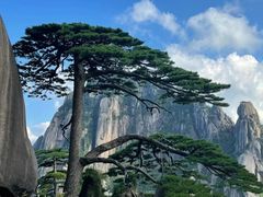 -黄山风景区