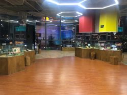 -未来动物城主题公园(正弘城店)