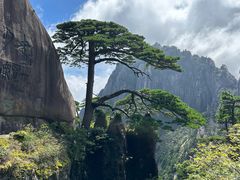 -黄山风景区
