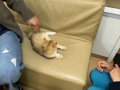 -宠颐生中康贝怡动物医院