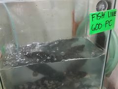 -香港厨房