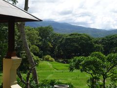 -四季酒店下午茶