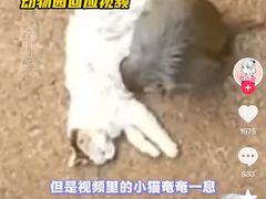 -昆明动物园