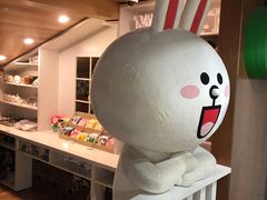 -line friends(明洞旗舰店)