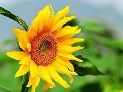 -二沙岛艺术公园