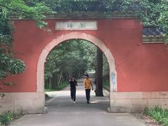 -灵谷景区