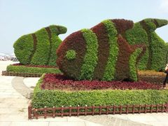 upload_pic-长兴岛