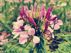 -文华公园(禅城区)