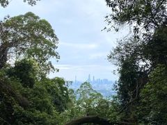 -火炉山森林公园