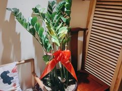 -中苑海韵