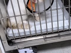 -畜牧兽医站(共江路店)