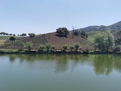 -帐篷客·溪龙茶谷度假酒店