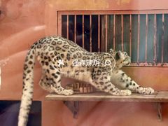 -青藏高原野生动物园