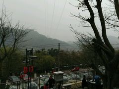 -老幺泉水鸡