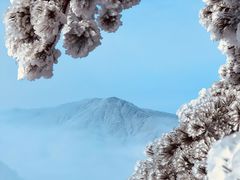 -安吉龙王山风景区