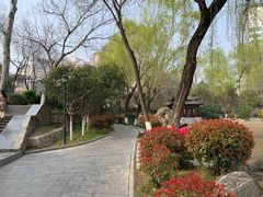 -莲湖公园
