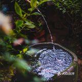 深藏南山之中，悠悠翠林之间，这家日式料理才是都市人群的理想国