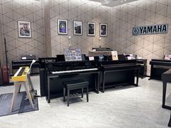 -知音艺术教育培训·钢琴培训·音乐培训(河西金鹰世界校区)