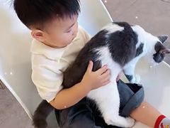 -飞行喵MR PILOT|猫舍·猫咖(静安大融城店)