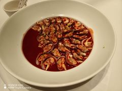 腐汁炝花蛤-红城阁·上海味道(四平路店)