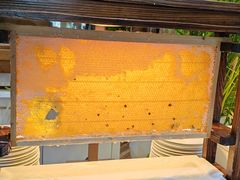 -印象餐厅(杭州国际博览中心北辰大酒店)