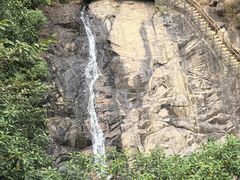 -广州白江湖森林公园