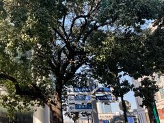 -新世界大丸百货