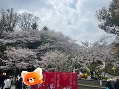 -杭州少年儿童公园