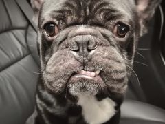 -星巴克臻选(深圳嘉里建设广场店)