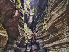 -梭布垭石林景区