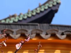 -无锡梅园公园