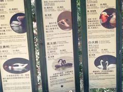 -燕塞湖鸟语林景区