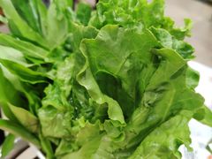 -粤潮牛肉火锅店(江南大道店)