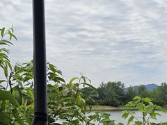 -三岔湖高家庄农家乐烤全羊柴火鸡翘壳鱼(三岔湖店)