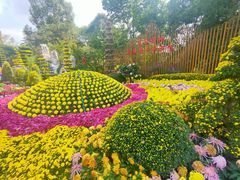 -南山植物园