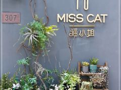 -IFIF 如果花園(宽厚里店)