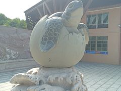 -广东惠东海龟国家级自然保护区