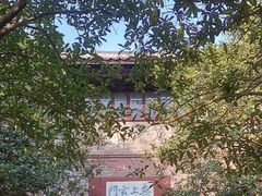 -八大山人梅湖景区