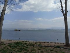 -洱海月湿地公园