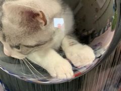 -宠颐生中康贝怡动物医院