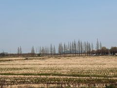 -上海佘山国家森林公园天马山园