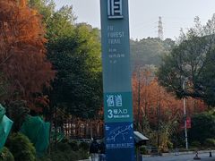 -福道