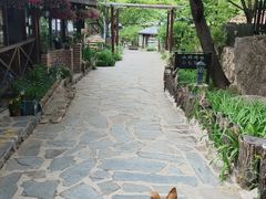 -北京水岸山吧度假村(雁栖镇店)