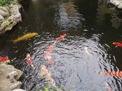 -鲤院·新中式美学·庭院餐厅(夫子庙店)