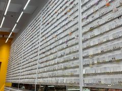 -KKV(深圳宏发大仟里店)