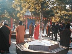 -慈恩寺