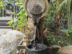 -呀诺达热带雨林