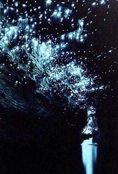 -怀托摩萤火虫洞